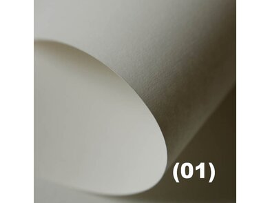  Color Style Recycling Close up Champagner