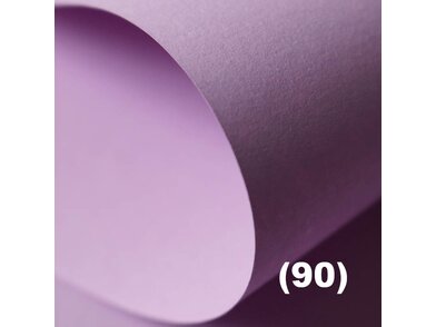  Color Style Recycling Close up Orchid