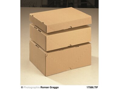 Wellpappe Stülpkarton