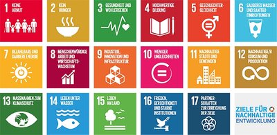 Abbildung der SDGs 
